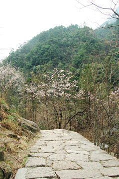 安徽黄山旅游