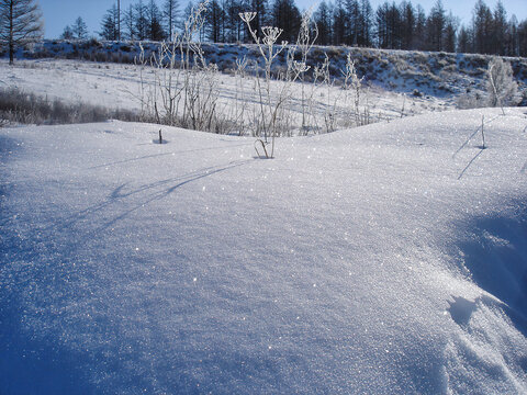 白茫茫的雪地