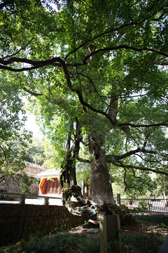 西山罗汉寺