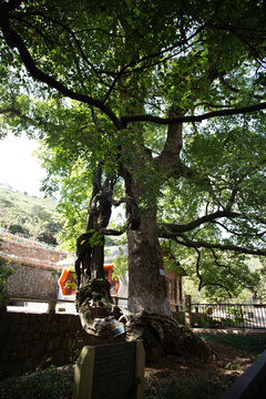 西山罗汉寺