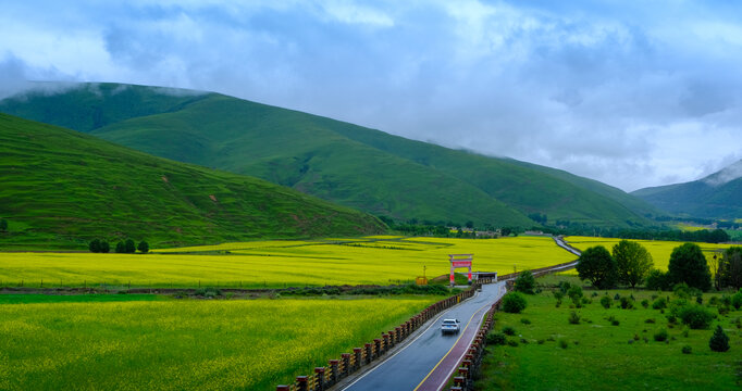 油菜花与草原