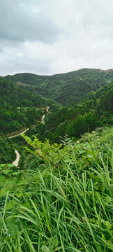 大山风景