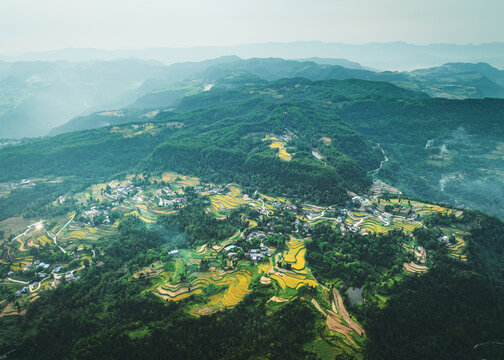 希望的田野