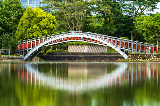 水倒影公园景观