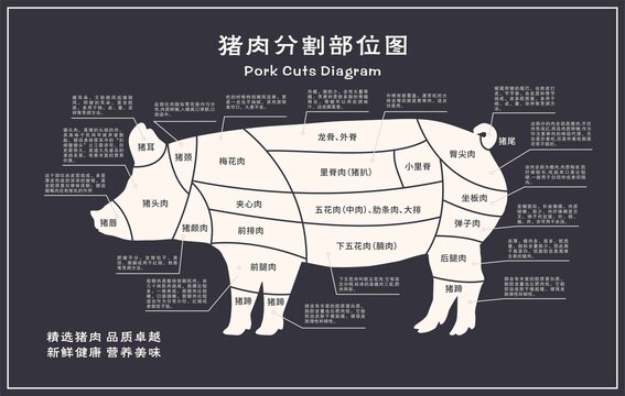 豬肉分解圖