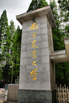 南京农业大学校门