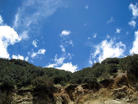 蓝天下的绿色高山