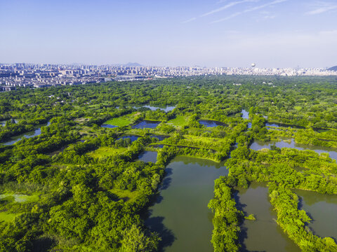 西溪国家湿地公园