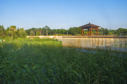 笋江公园湿地景观