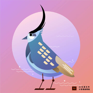 長(zhǎng)翎鳥(niǎo)