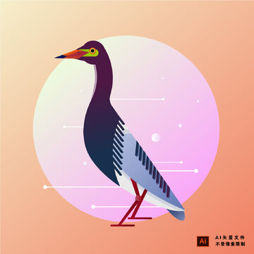 大雁鳥