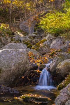 洛阳嵩县白云山溪流