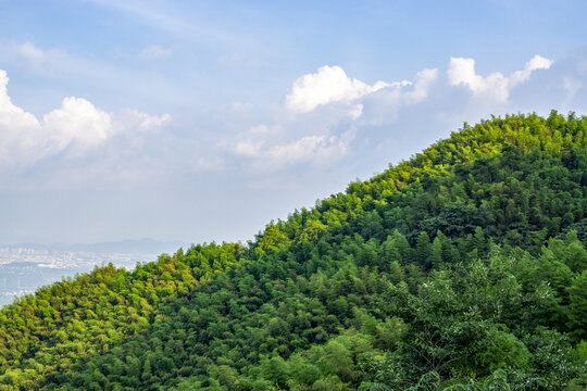 莫干山风景区自然风光