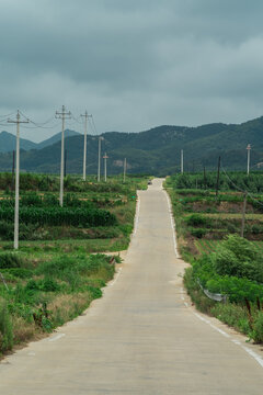 乡村道路