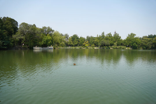 北京大学未名湖