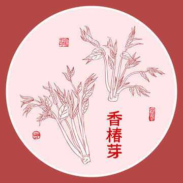 香椿芽線稿圖