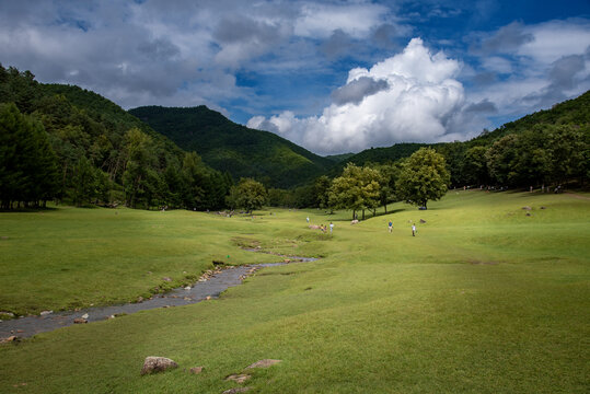 黑龙江伊春金山屯鹿苑