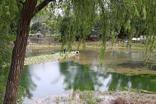 溪流山间小溪