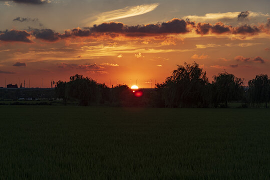 夕阳西下