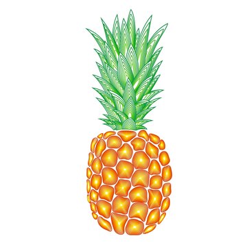 菠蘿手繪插畫