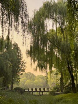 济南森林公园知鱼桥风景