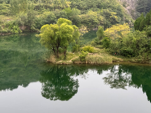 溪流拐弯部风景图