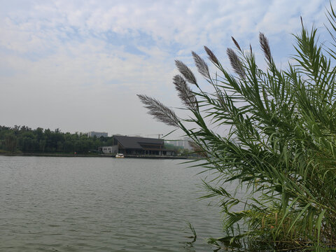 长安公园内湖