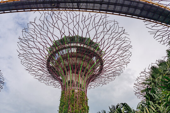 新加坡滨海湾花园超级树