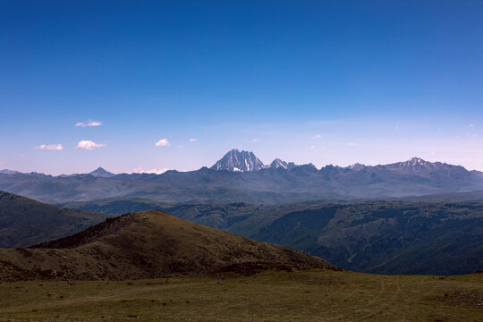 马尔可