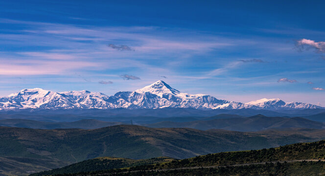 马尔可