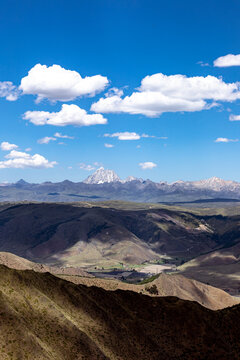 马尔可