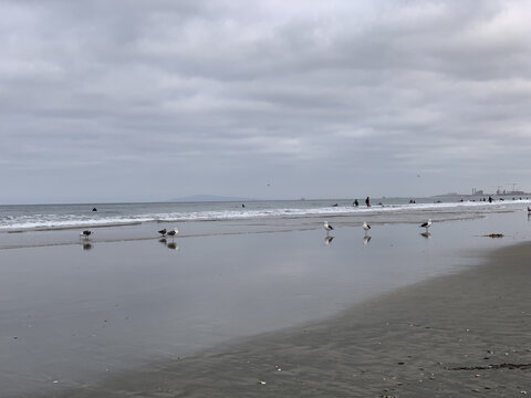 宁静的无人的海边沙滩