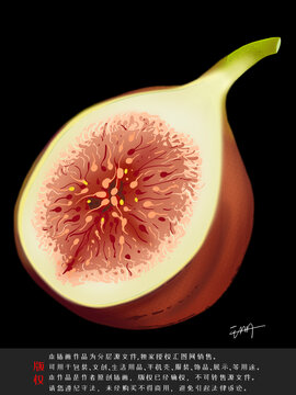 手繪半個(gè)無花果插畫