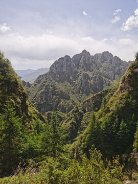 高原一景