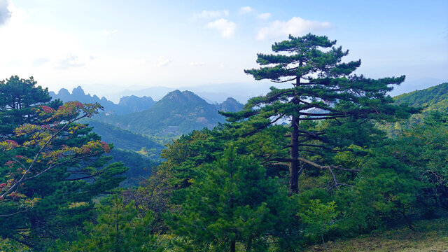 黄山风光