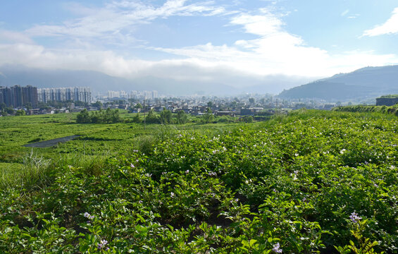 乡村风光