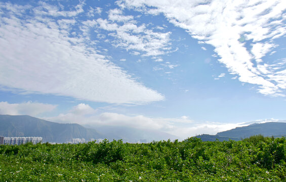 乡村风光