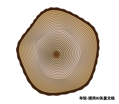 年輪矢量素材