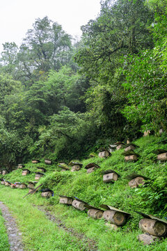 原生态大山土蜂蜜圆通蜂箱蜂糖