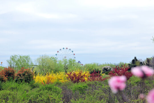 春天公园风景