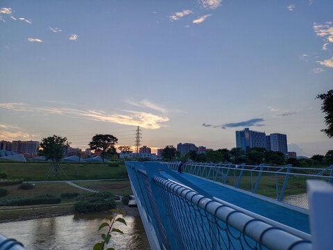 夕阳后的公园