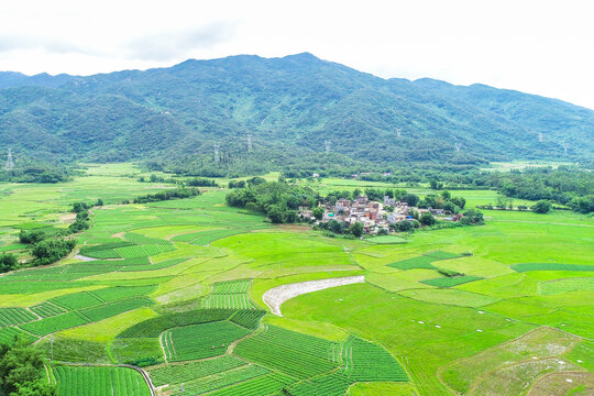 田园风光