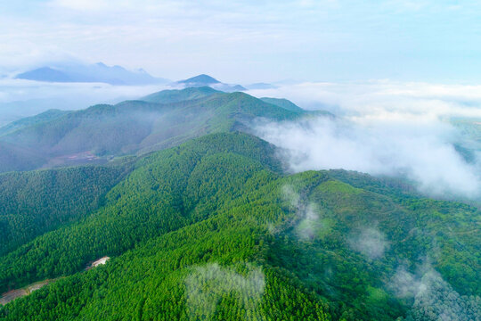 绿水青山就是金山银山