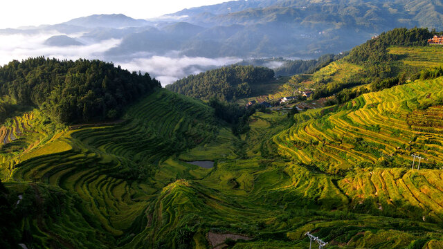 农业山水紫鹊界秋景航拍