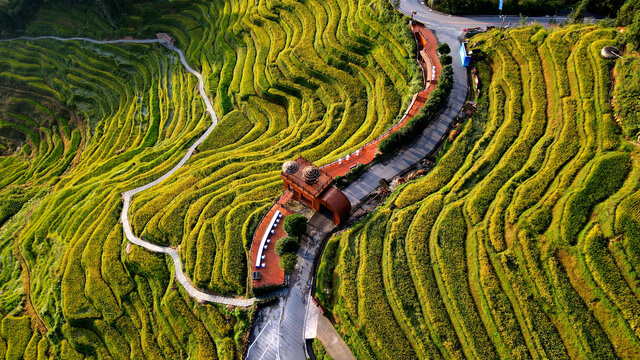 农业山水世界灌溉紫鹊界秋景