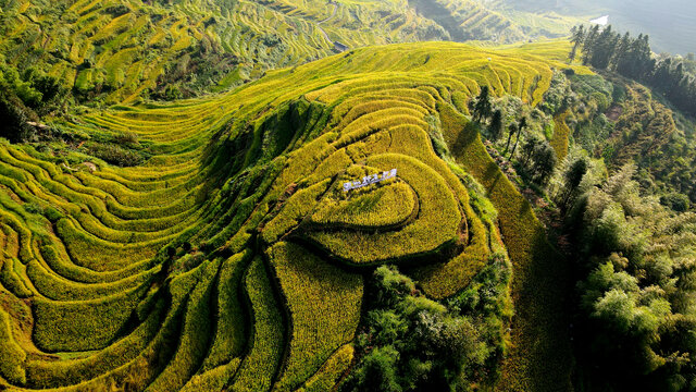 农业山水紫鹊界秋景航拍