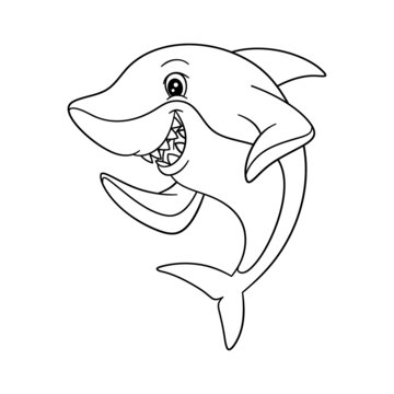 鯊魚(yú)線(xiàn)稿