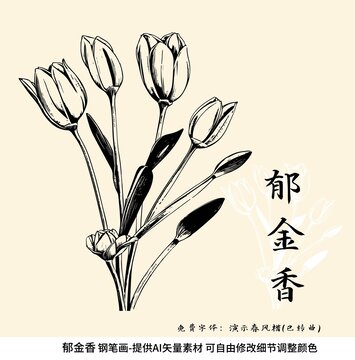 郁金香矢量鋼筆畫(huà)素材