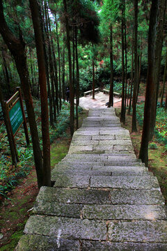 武夷山登山石板路