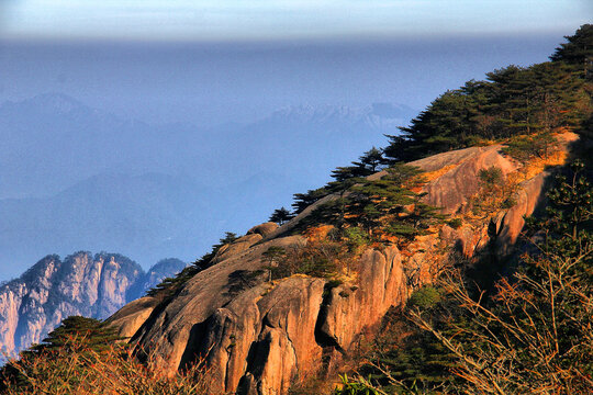 黄山美景特写